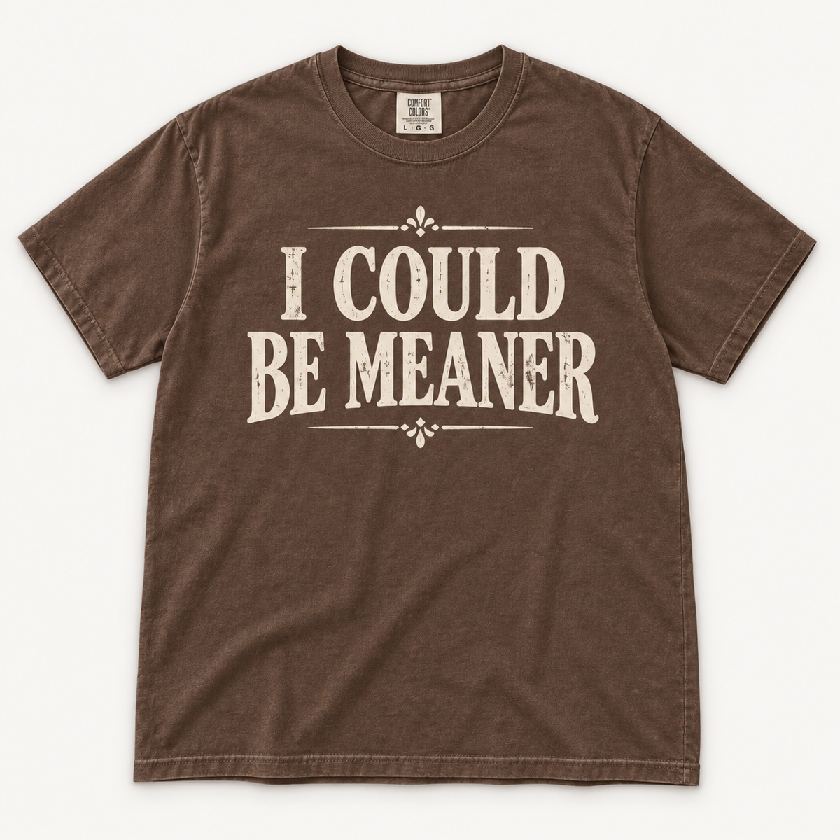 I Could Be Meaner T-shirt in cocoa brown
