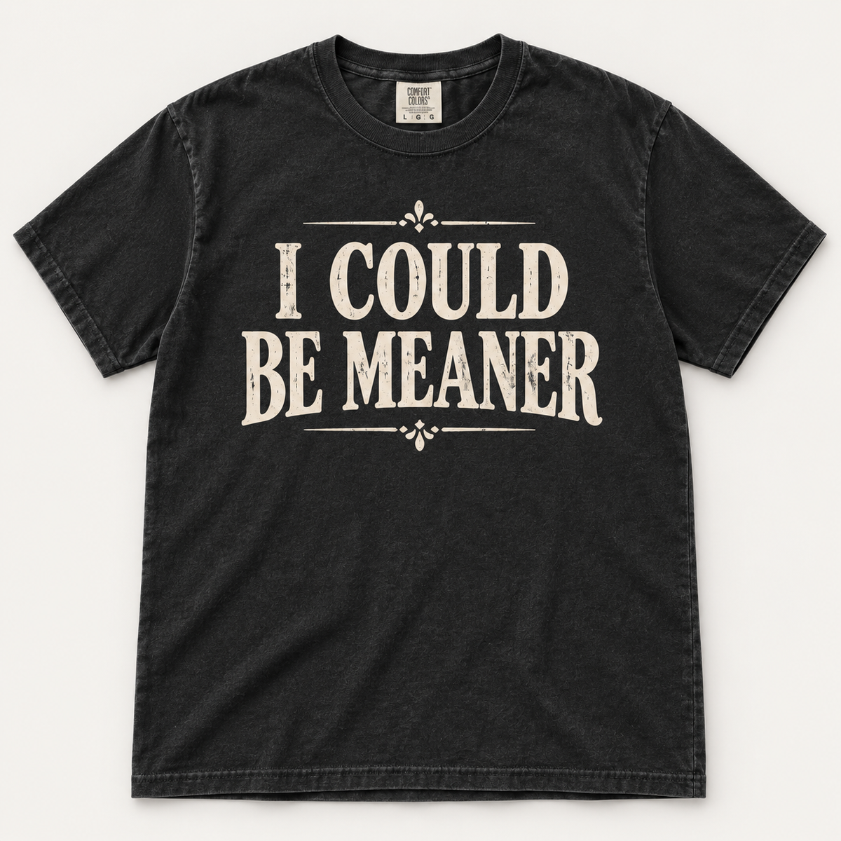 I Could Be Meaner T-shirt in vintage black