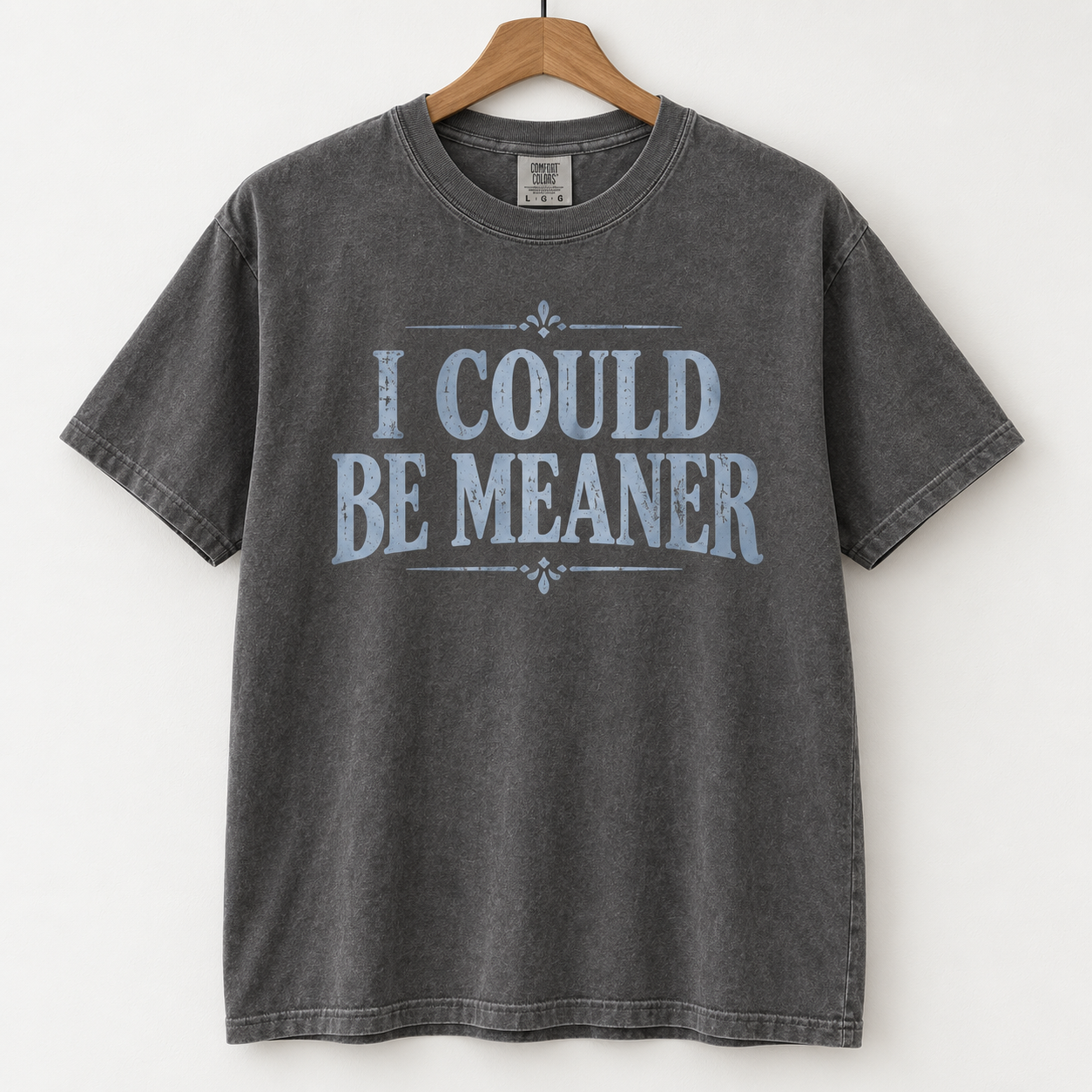 I Could Be Meaner T-shirt in washed charcoal