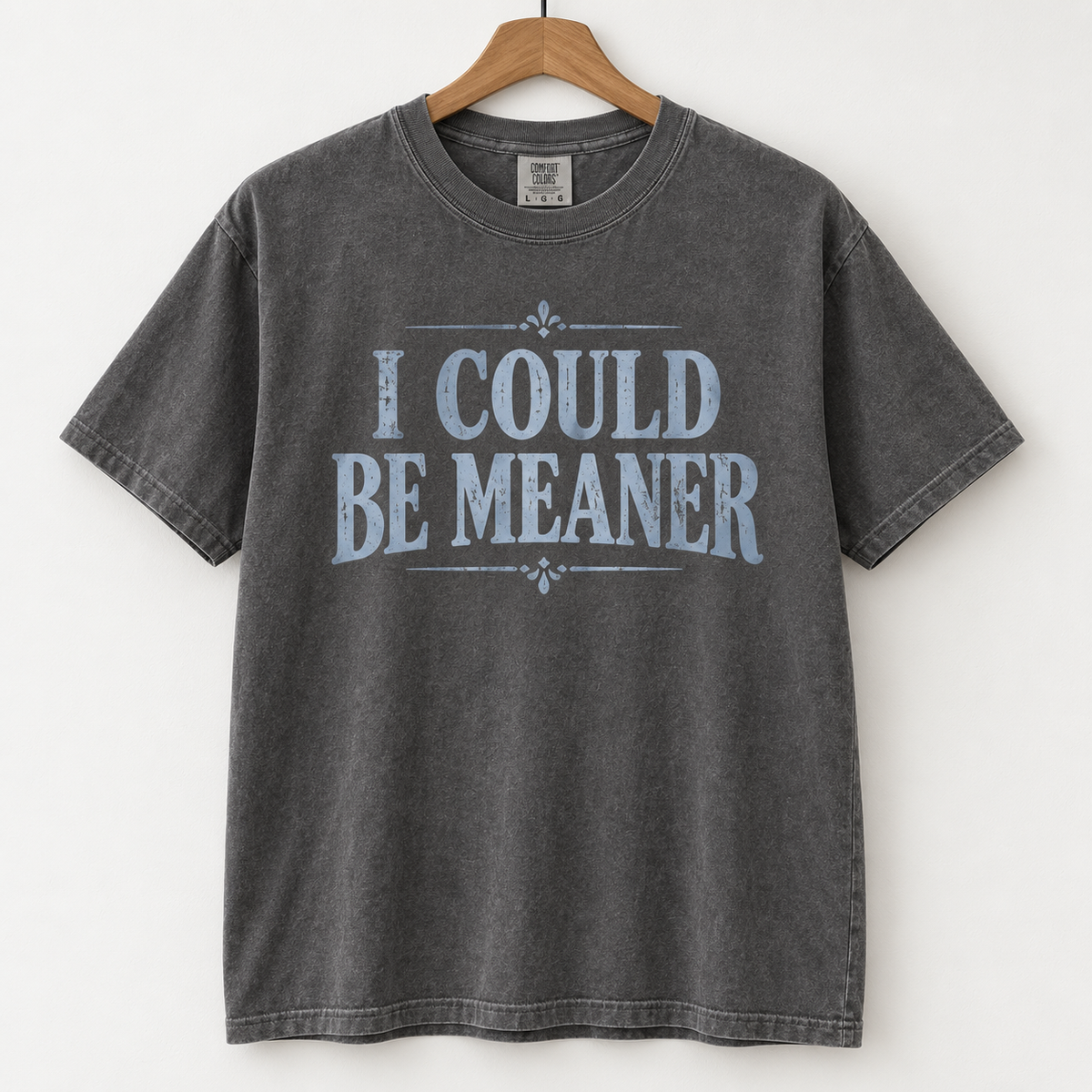 I Could Be Meaner T-shirt in washed charcoal