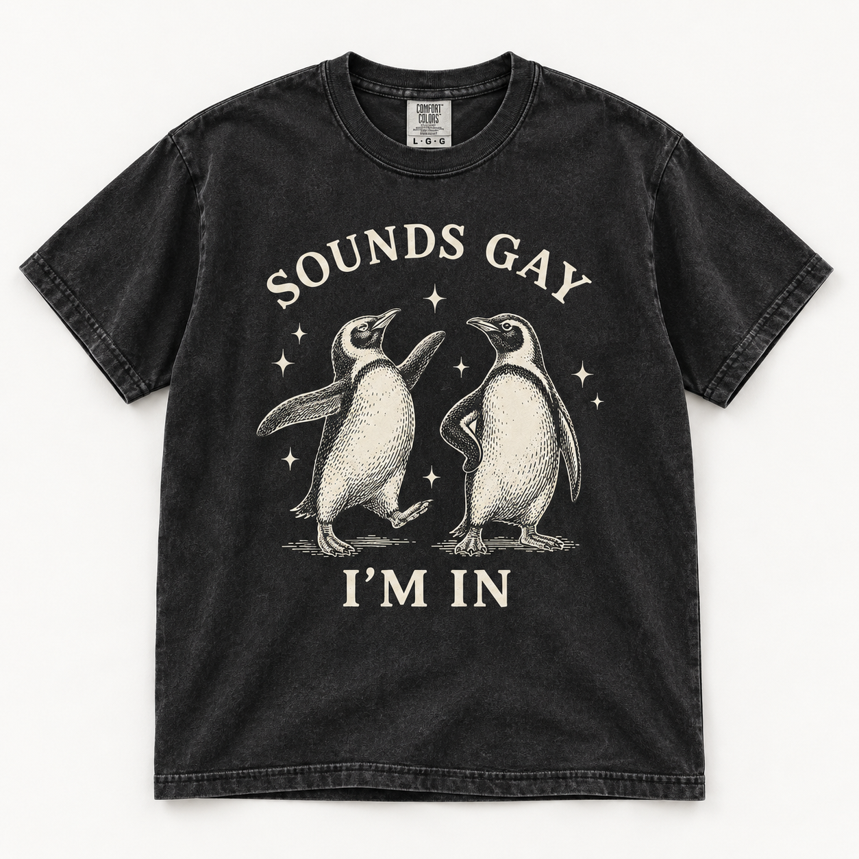 Sounds Gay, I’m In T-shirt in vintage black