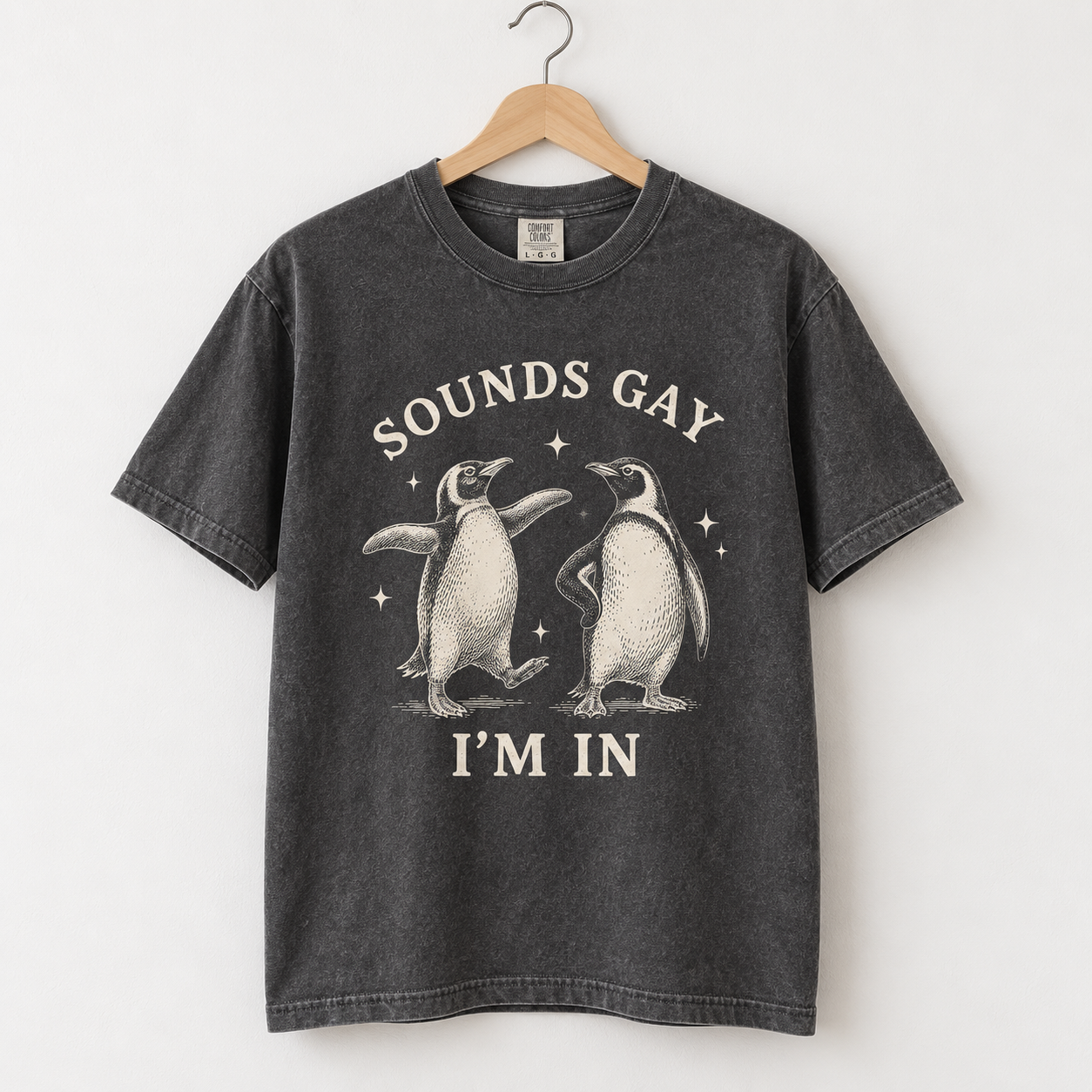 Sounds Gay, I’m In T-shirt in washed charcoal